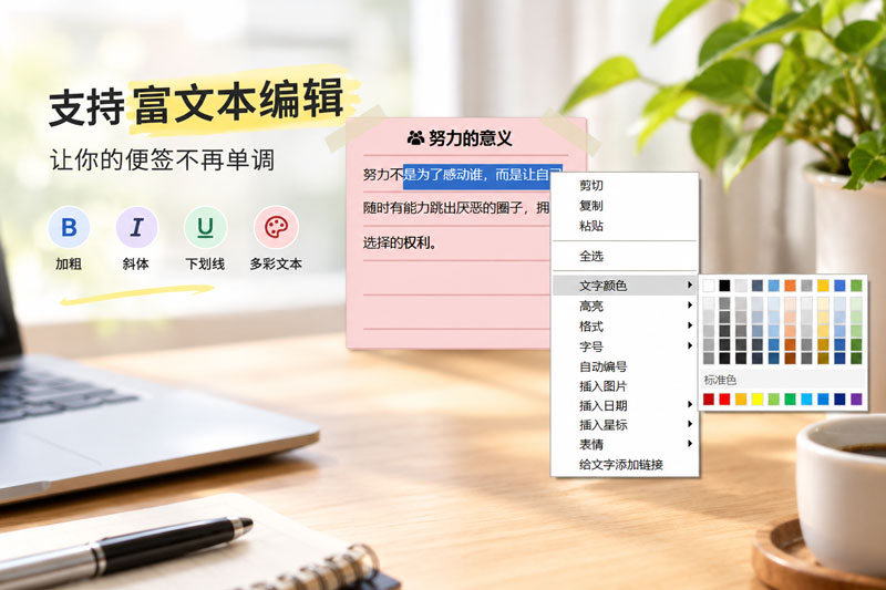 可设置选中文字的格式，加粗、倾斜、删除线、下划线、修改文字颜色、粘贴图片，随心所欲。